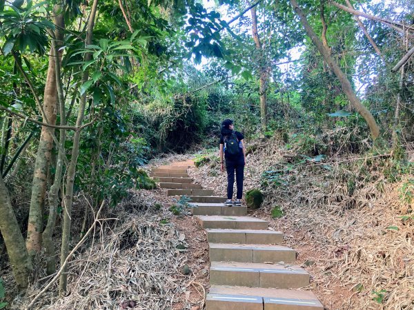 紅毛埤山(蘭潭後山步道)2653290