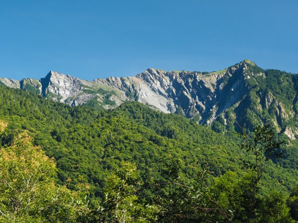 [百岳]能高越嶺逆走與奇萊南峰1042668