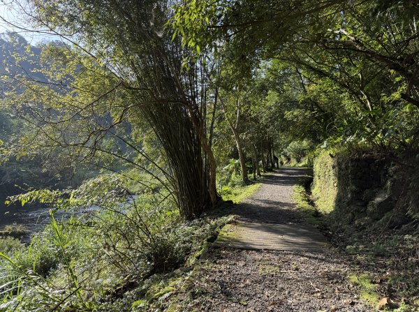 [淡蘭古道] 2026_0315 南路第二段_外按古道3016431