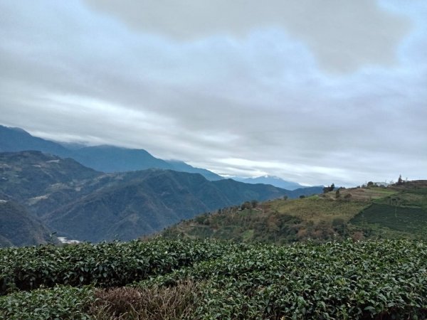 20211219南投仁愛南東眼山南峰、南東眼山基石風景1554750