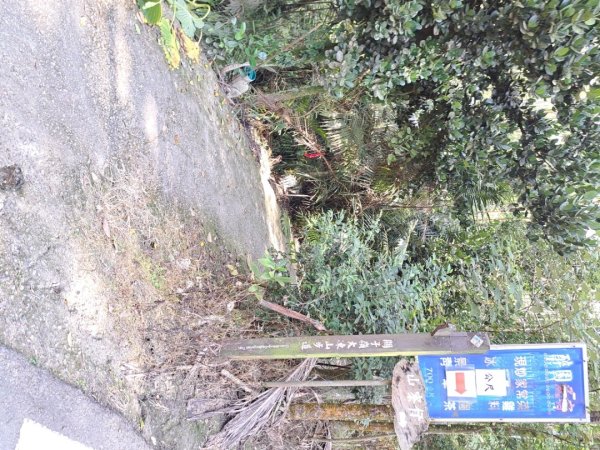 台南關子嶺枕頭山，大凍山，雞籠山步道3123313