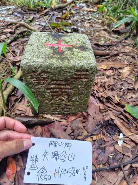 矢場谷山連走勃子山2805069