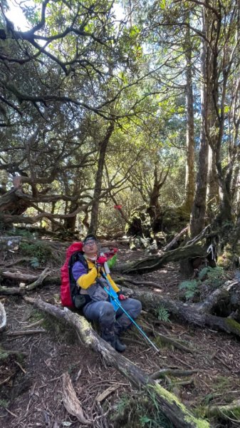 塔魔巴2天1夜來回/復興尖-四稜溫泉2357312