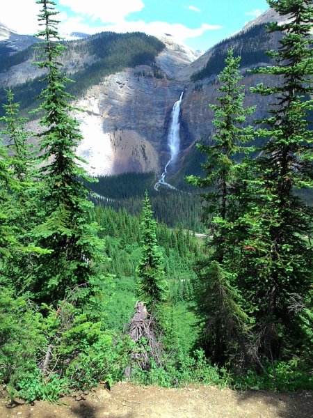 Iceline Trail (YOHO 加拿大幽鶴國家公園)2634585