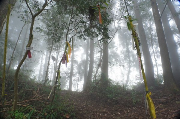 南投 鹿谷 龍鳳山、龍鳳峽山、三叉崙山、水桶寮山、內樹皮山、羊頭崙山、志騰山、竹崙山、溪頭山2962321