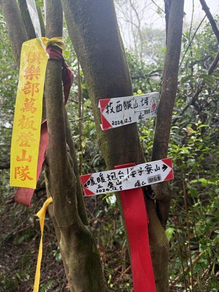 七上八下2713420