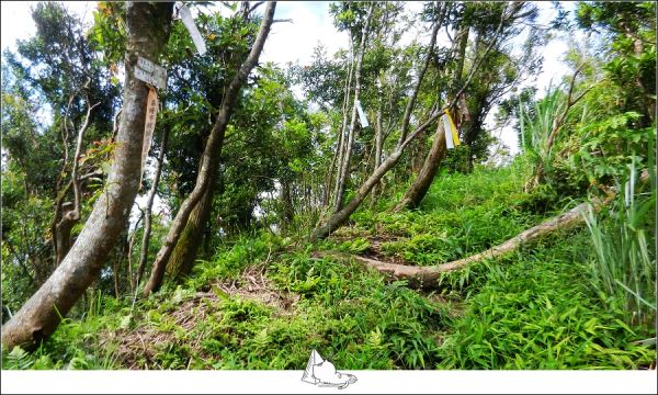 基隆暖暖平溪-十分古道五分山397461