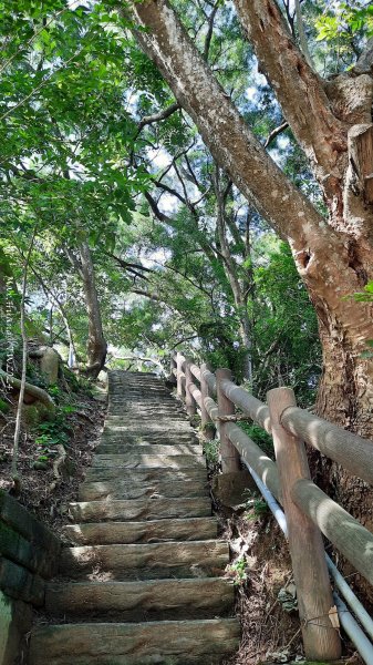 《台中》秋虎飆汗｜潭子新田登山步道上聚興山O繞202409152594075