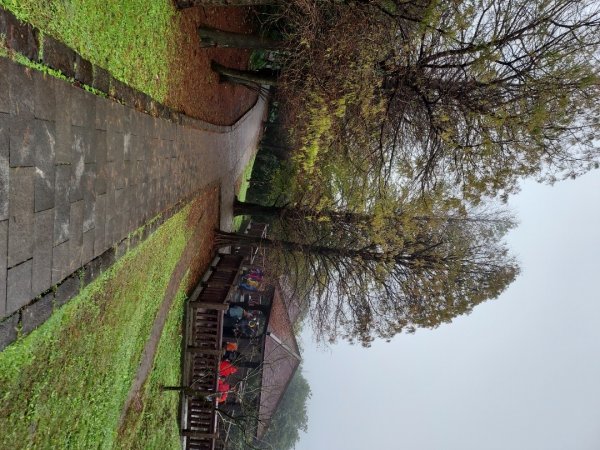 小油坑～七星山～冷水坑～擎天崗1940753