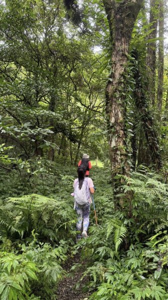 20250708 四堵古道2837759