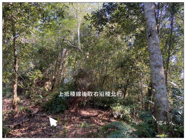 向山、向山遊客中心2747260