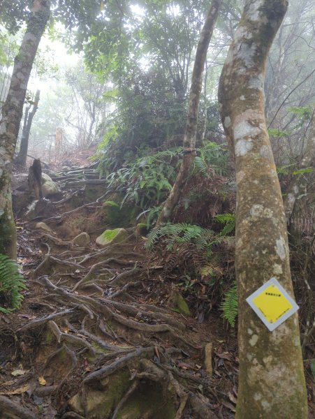 2025.07.05－高島縱走2828190