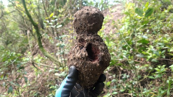 清幽的古道與舊日採礦遺址巡禮瑞芳蛇形子古道登烏塗窟山與獅子嘴奇岩O形2756628