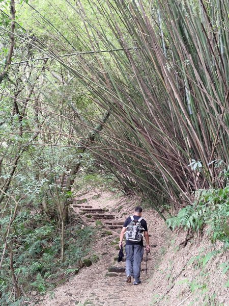 【台北市淡水區】面天山、向天山(清天宮登山口)2278850