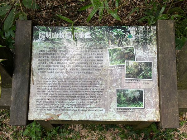 台北 陽明山 絹絲瀑布-擎天崗2722178