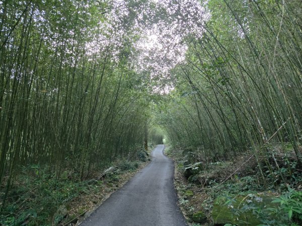 九龍山連走大凍山2955701