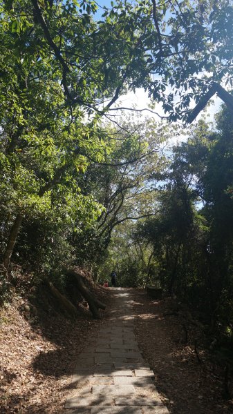 飛鳳山+石壁潭生態步道1189487