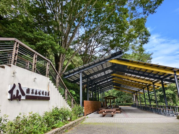 [百山百鳥尋旅-07/15] 2025_0831 八仙山國家森林遊樂區步道群2875961