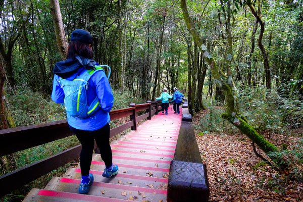 樂山舊鐵道順撿鹿坑山1320434