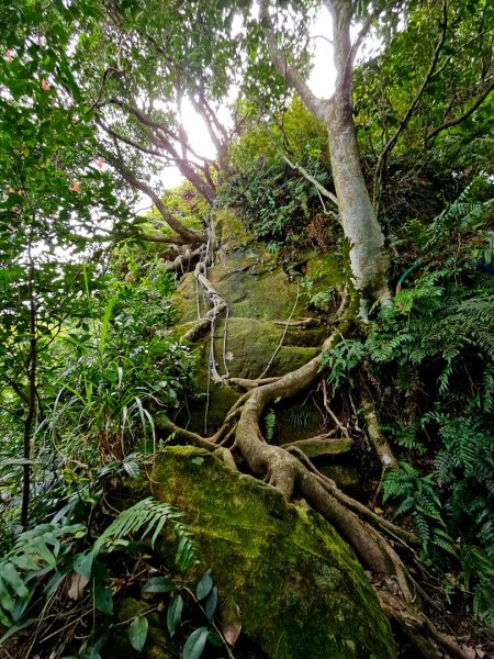 2025年臺北大縱走第六段：中華科技大學至捷運麟光站2755779