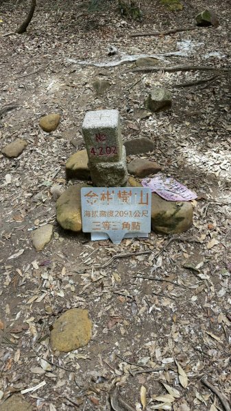 米堤香蕉園-鳳凰山-鳳凰南峰（台寅山） -金柑樹山-金柑樹山西北峰-領頭山東峰-忘憂森林2551807