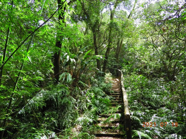 新北 雙溪 西九份坑山1426893