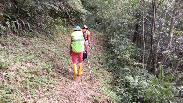 雙溪區烏山古道西線-大湖尾古道支線-大湖尾古道O型3098457