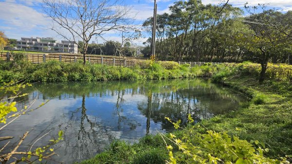 20251229龍潭大池自行車道-三林自行車道-名人棒球堂飯店-石門大草坪-林埤古道-石門水庫2974584