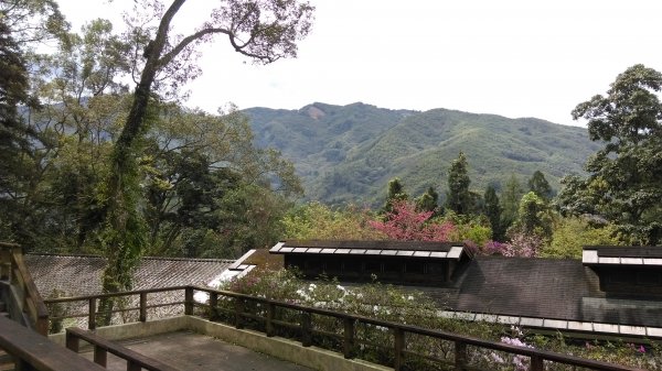 全台最美的森林小學~南投內湖國小468216