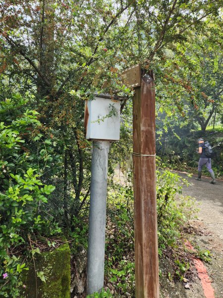 20230819 谷關七雄初登板-二哥馬崙山，白冷冰棒2255592