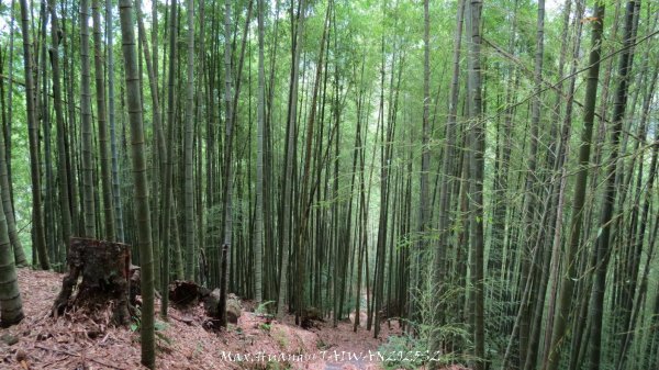 《雲林》望好望角｜石壁山嘉南雲峰步道(中側登山口）202506072805465