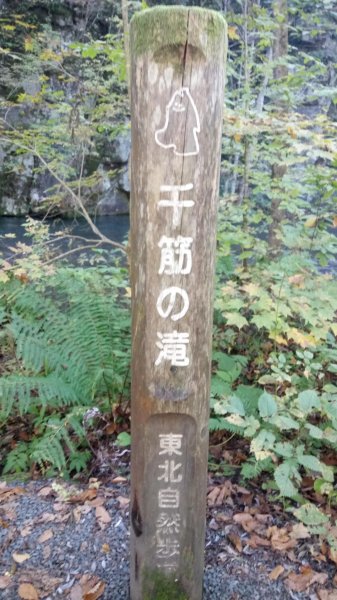 奧入瀨溪健行444361