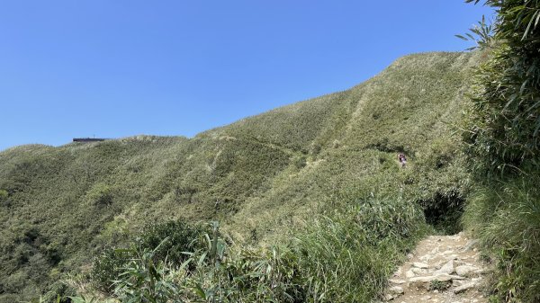 聖母登山步道（抹茶山）2458331