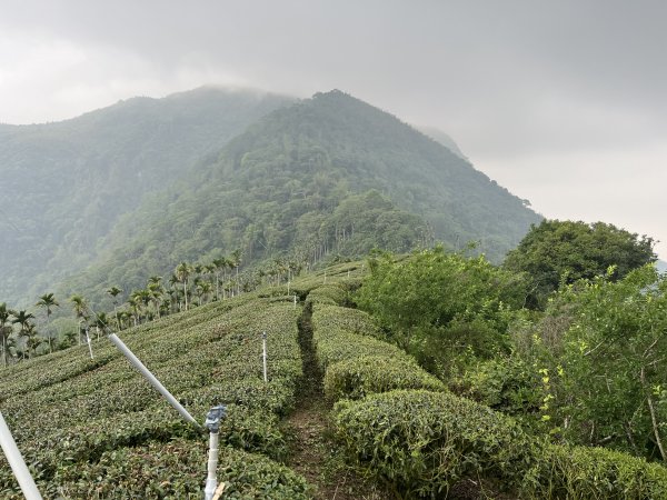 2023_0429_挑筍古道2138226