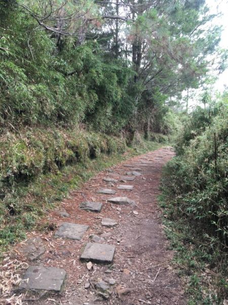 鹿林山388540