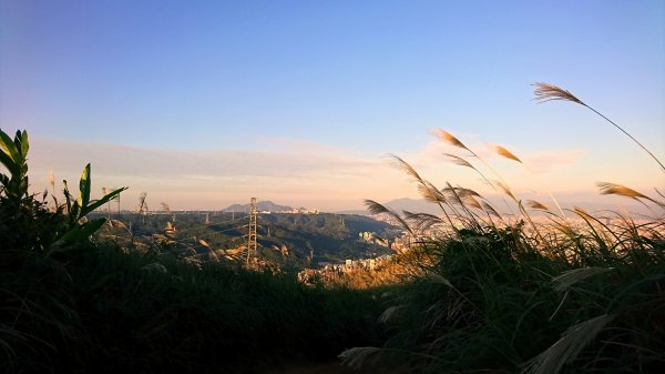 新北樹林-三角埔頂山1420661