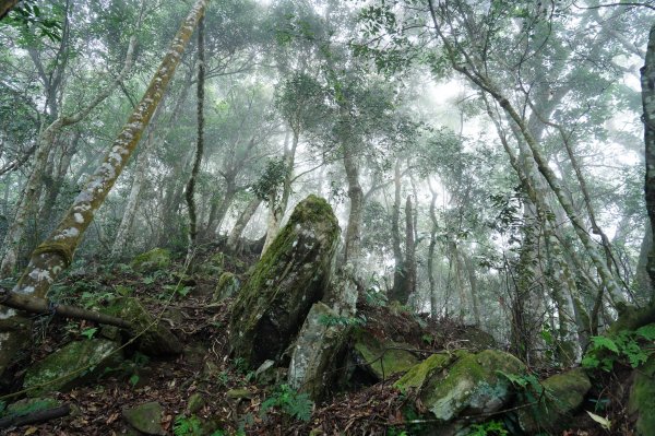 新竹 五峰 鬼澤山2634022