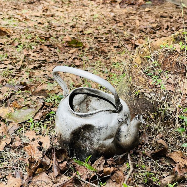 20241221 霞喀羅二天一夜露營賞楓2711949