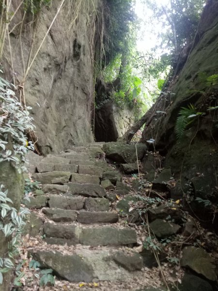 小百岳崁頭山+八卦山一線天步道1883555