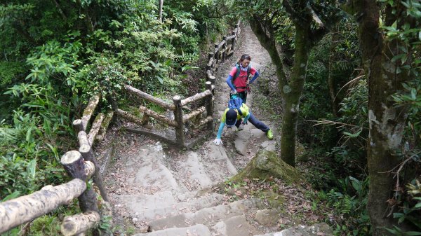 猴山岳縱走二格山登山健行趣(小百岳17號)1539402