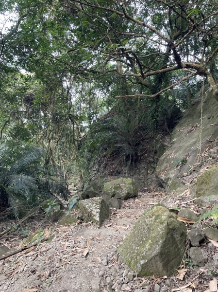 崁頭山&竹子尖山2964378