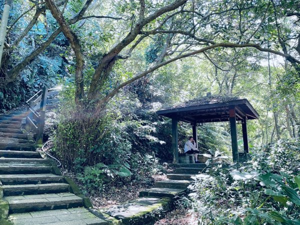 20250928 九五峰-拇指山-象山2903914