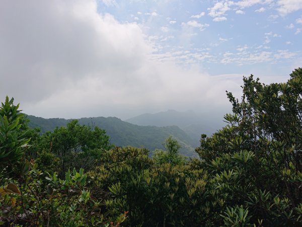 東眼山-拉卡山O型950456