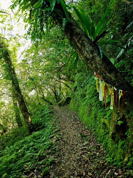 灣潭古道(淡蘭中路)-新北市雙溪區2882669