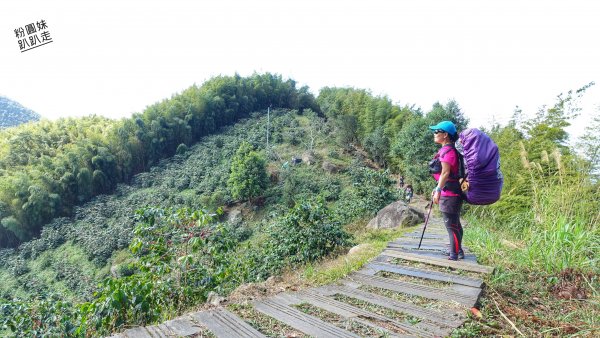 阿里山山脈越嶺步道大串走D2543666