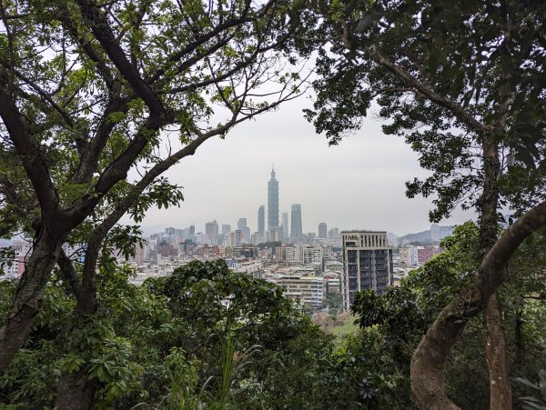 2024-01-28 福州山公園2793292