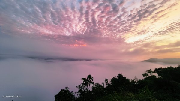 #坪林 #南山寺 #飛碟茶園 #慈瑤宮 #環山路 #日出 #雲海 #觀音圈 5/21-233058237
