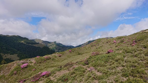 合歡山北峰725215