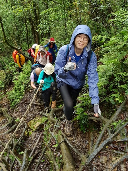 2017/05/20 北插天山（赫威山）248037