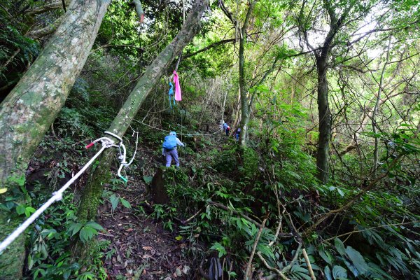 下橫坪西南峰 -下橫坪山-下橫坪東峰-天王廟-佛光寺-中央坑山-串空湖山-南窟山-法濟寺1746361